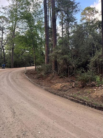 Recreational Property for sale in Bastrop County, Texas