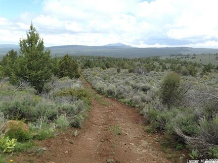Undeveloped Land for sale in Lassen County, California