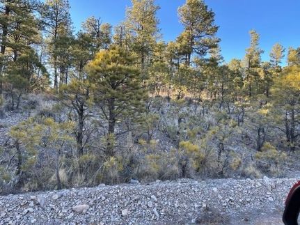 Land for sale in Otero County, New Mexico