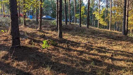 Land for sale in Perry County, Tennessee