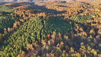 Undeveloped Land for sale in Perry County, Tennessee