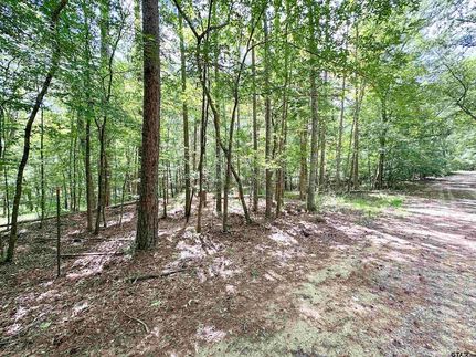 Land for sale in Anderson County, Texas