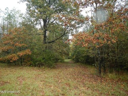 Timberland Property for sale in Holmes County, Mississippi