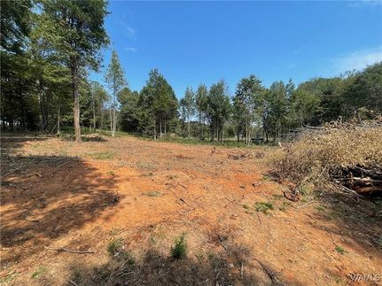 Homesite for sale in Tuscaloosa County, Alabama