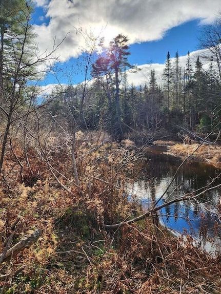 Homesite for sale in Waldo County, Maine