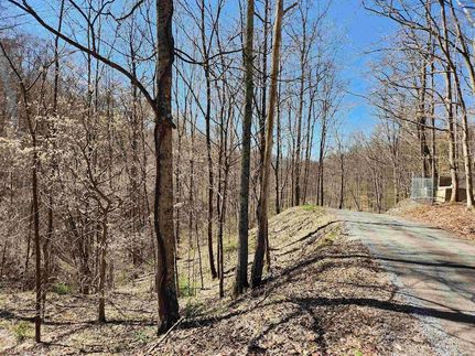 Land for sale in Taylor County, West Virginia