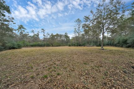 Undeveloped Land for sale in Harris County, Texas