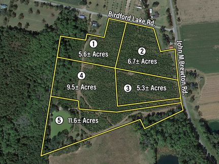 Land for sale in Tattnall County, Georgia