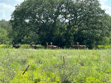 Recreational Property for sale in Medina County, Texas