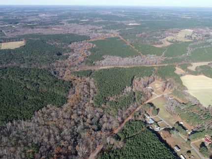 Timberland Property for sale in Greensville County, Virginia