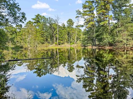 Farm and Ranch for sale in Tyler County, Texas