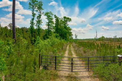 Hunting Property in Horry County, South Carolina