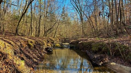 Undeveloped Land for sale in Elbert County, Georgia