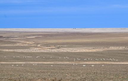 Land for sale in Otero County, Colorado