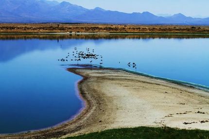 Farm and Ranch for sale in Cochise County, Arizona