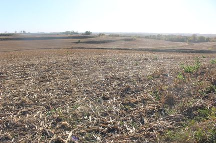 Undeveloped Land for sale in Pottawattamie County, Iowa