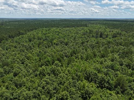 Farm and Ranch for sale in Harrison County, Texas