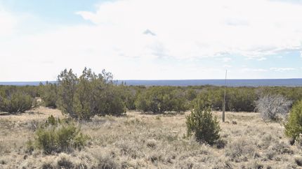Undeveloped Land for sale in Apache County, Arizona
