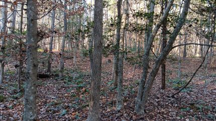 Land for sale in Granville County, North Carolina