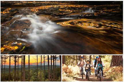 Land for sale in Gilmer County, Georgia