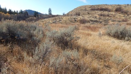 Land for sale in Okanogan County, Washington