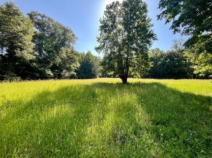 Timberland Property for sale in Butler County, Alabama