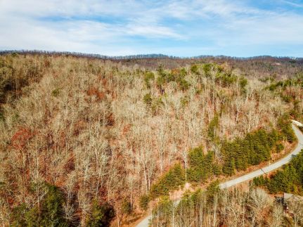 Recreational Property for sale in Claiborne County, Tennessee
