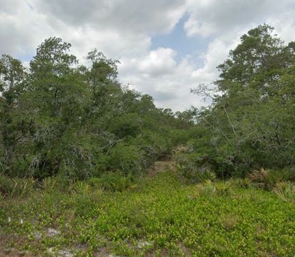 Land for sale in Highlands County, Florida
