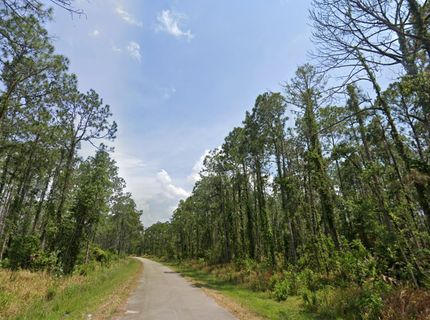 Undeveloped Land for sale in Highlands County, Florida