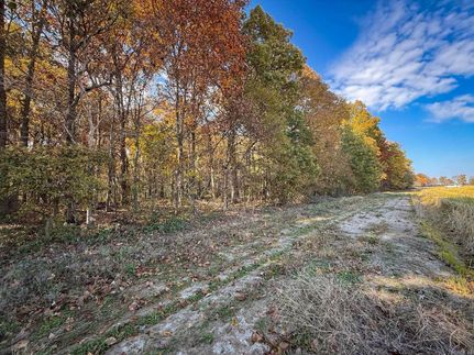 Land for sale in Cross County, Arkansas