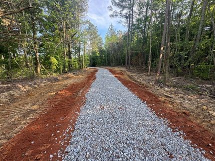 Undeveloped Land for sale in Winston County, Mississippi