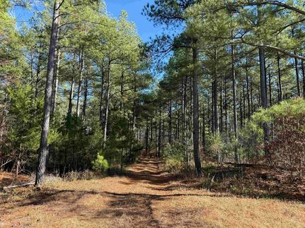 Timberland Property for sale in Buckingham County, Virginia