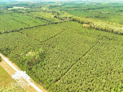 Undeveloped Land for sale in Bamberg County, South Carolina