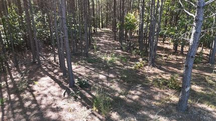 Land for sale in Lewis County, Tennessee