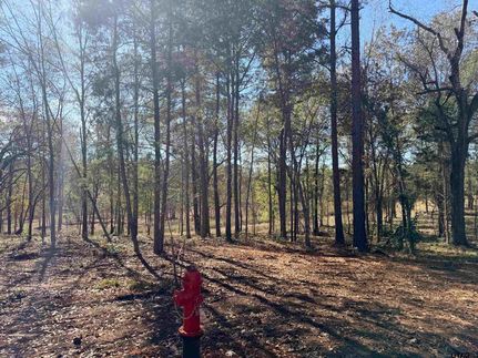 Farm and Ranch for sale in Smith County, Texas