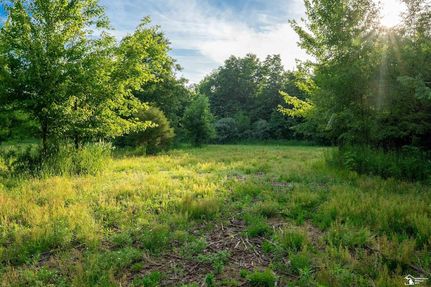 Recreational Property for sale in Monroe County, Michigan