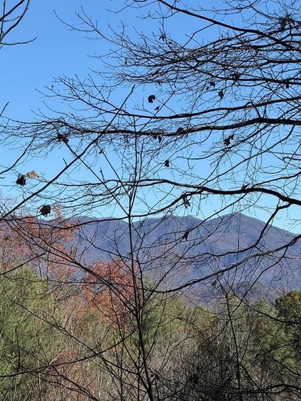 Undeveloped Land for sale in Cherokee County, North Carolina