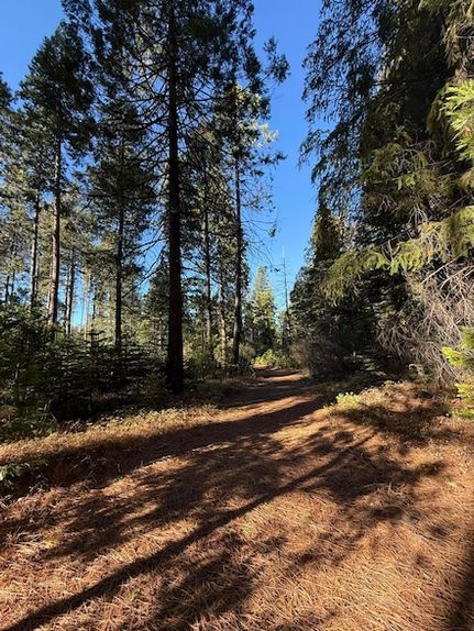 Undeveloped Land for sale in Shasta County, California
