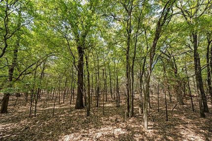 Undeveloped Land for sale in Hill County, Texas