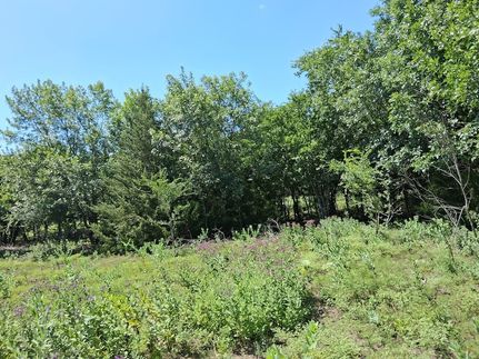 Land for sale in Ellis County, Texas