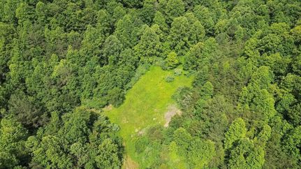 Undeveloped Land for sale in Clay County, Kentucky