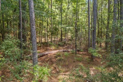 Timberland Property for sale in Trinity County, Texas