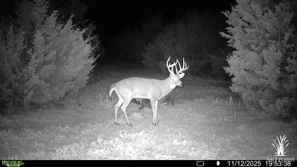 Land for sale in Pratt County, Kansas