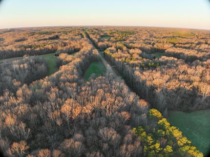 Undeveloped Land for sale in Hardeman County, Tennessee