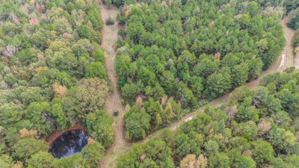 Hunting Property for sale in Panola County, Texas