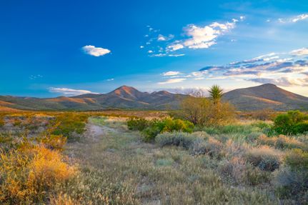 Farm and Ranch for sale in Culberson County, Texas