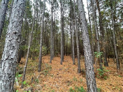 Land for sale in Smith County, Texas