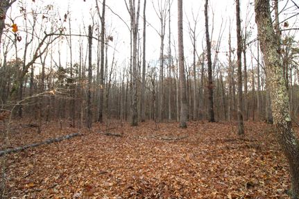 Land for sale in York County, South Carolina