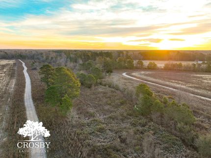 Farm and Ranch for sale in Clarendon County, South Carolina