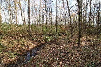 Land for sale in York County, South Carolina